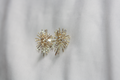 Boucles d'oreilles Isabelle